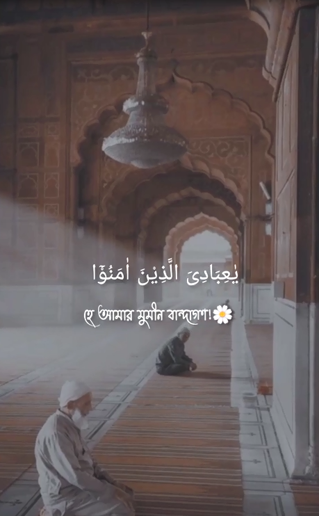 Category: Islamic Reel
